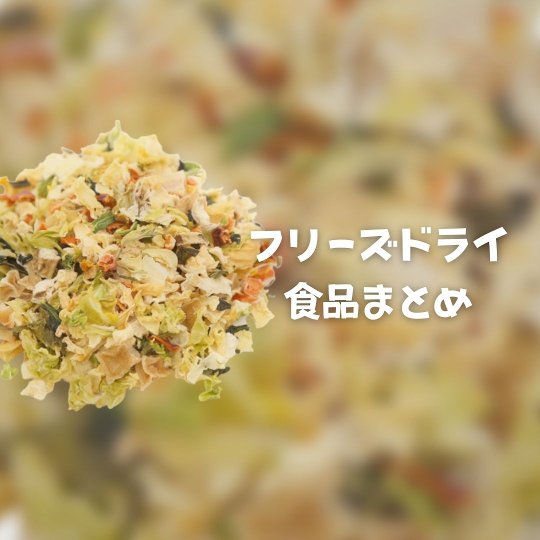 フリーズドライまとめ